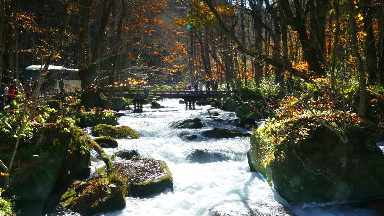 Oirase Stream (Oirase Keiryū)是青森县一个风景如画的山溪，是日本最著名和最受欢迎的秋色目的地之一视频下载