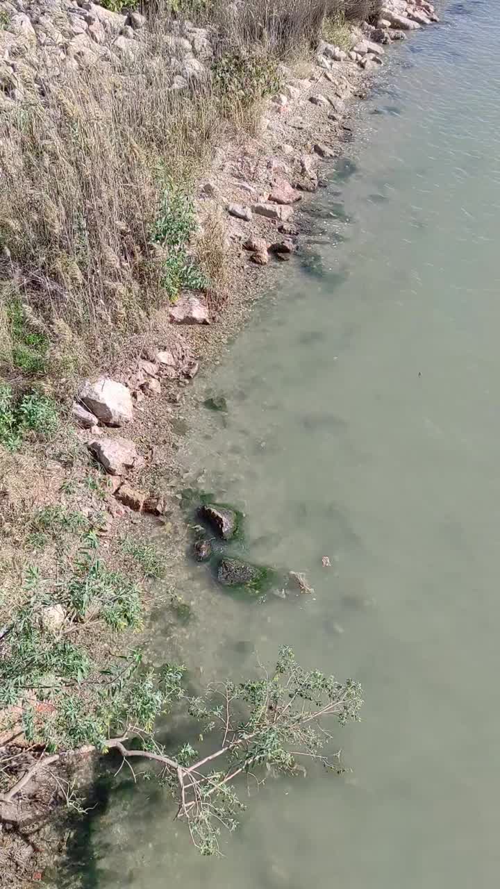 有死水的浅河流的岩石岸视频素材