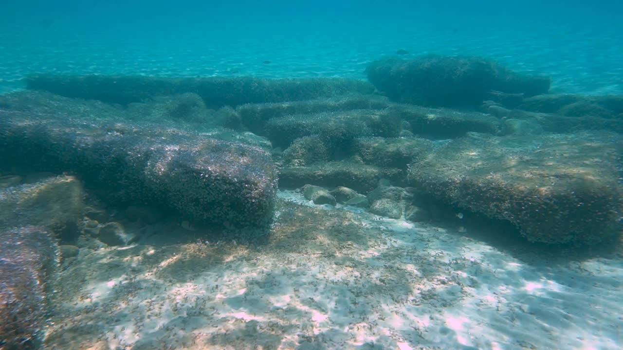 鱼群和海床视频素材