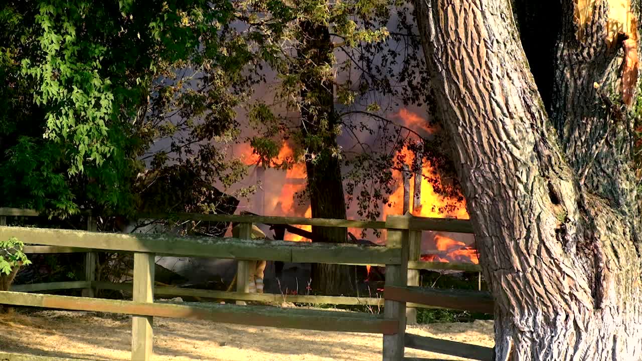 森林里着火了，树木都在燃烧。有选择性的重点。大自然。视频素材