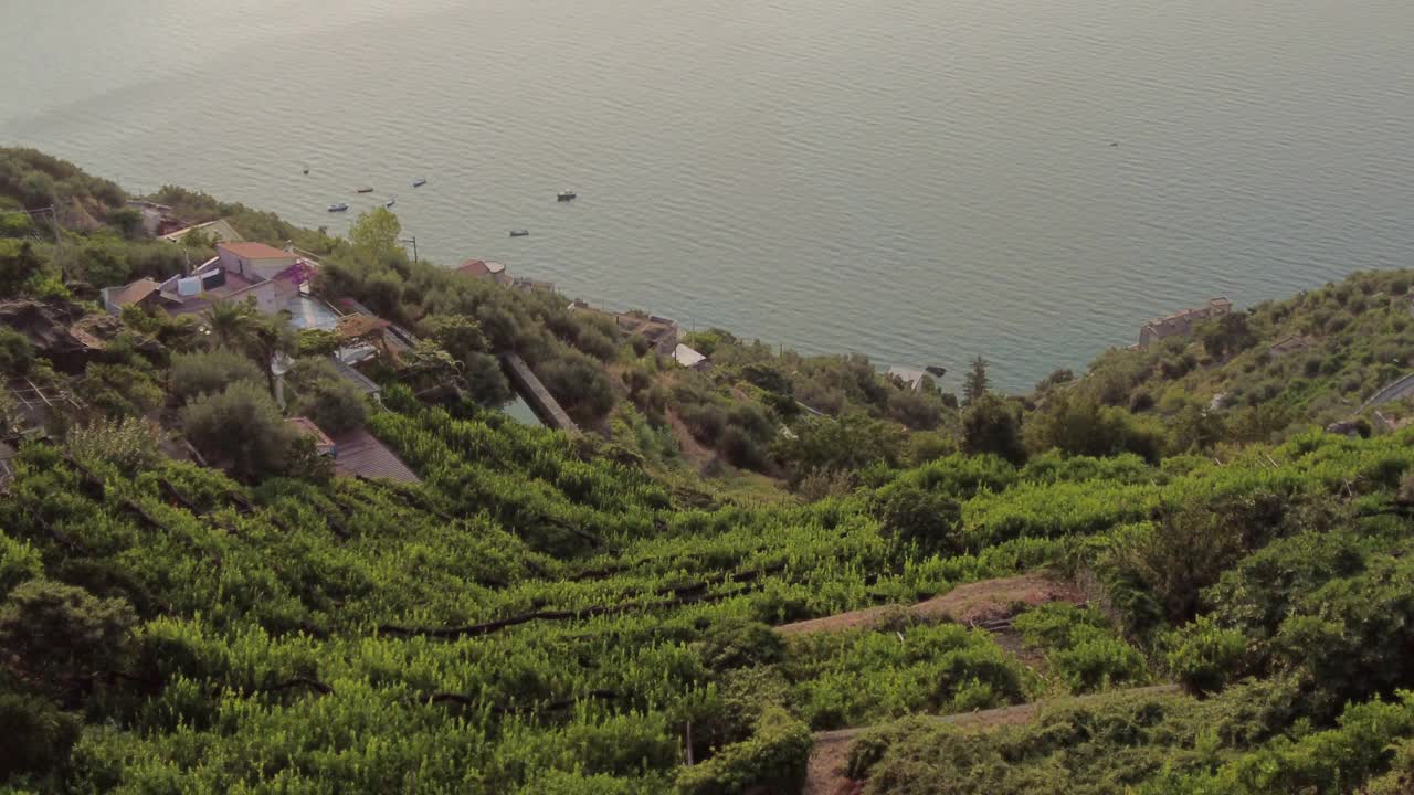 在阿马尔菲海岸的露台上种植柠檬树视频素材