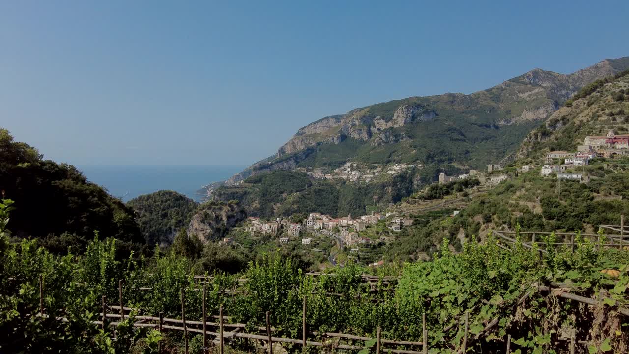 在阿马尔菲海岸的露台上种植柠檬树视频素材