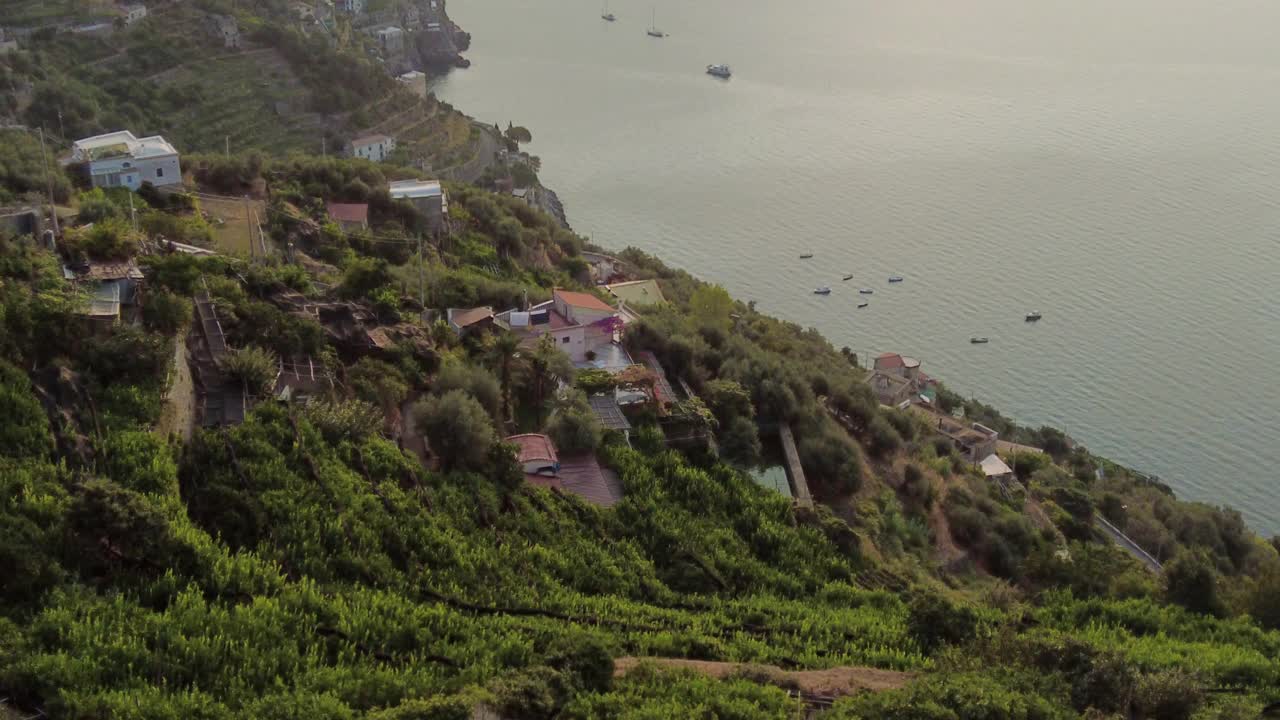 在阿马尔菲海岸的露台上种植柠檬树视频素材