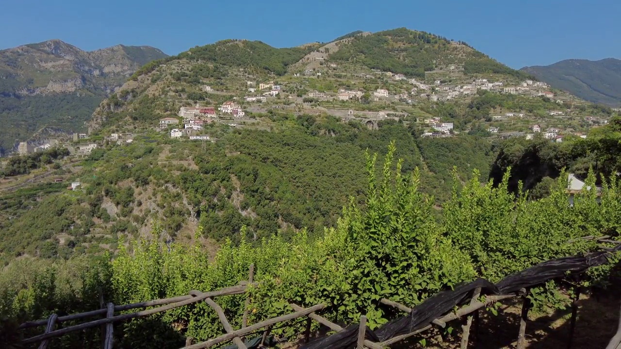 在阿马尔菲海岸的露台上种植柠檬树视频素材