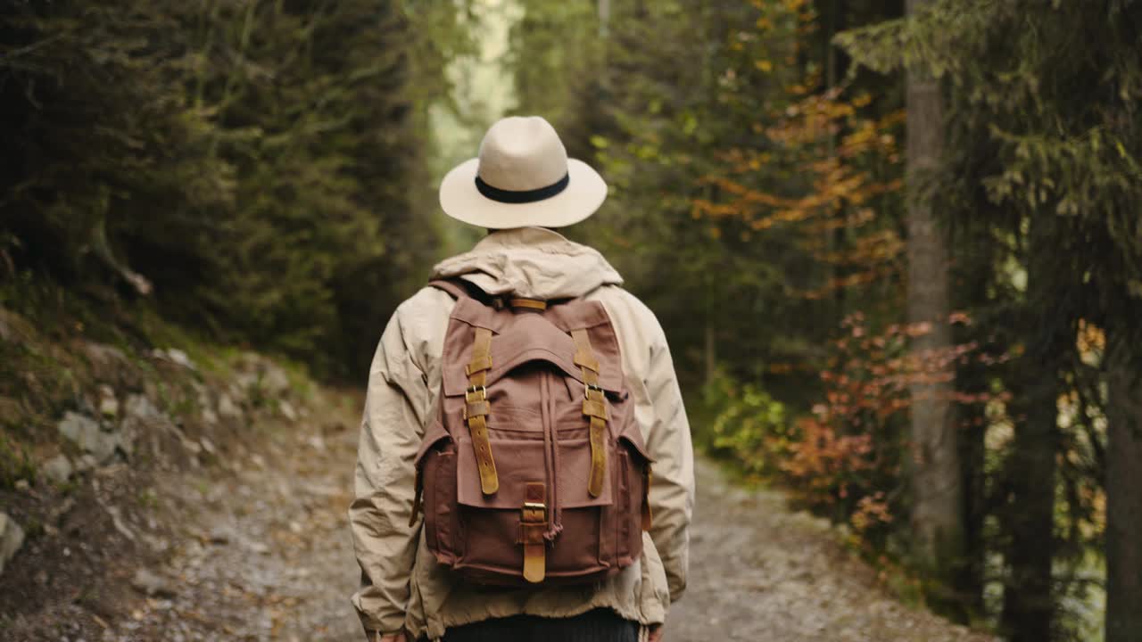 穿着便服和帽子的嬉皮士男人在秋天的森林里徒步旅行。活跃健康的白种人背着背包装木头。男游客步行森林后景、休闲、生物旅游、徒步旅行视频素材