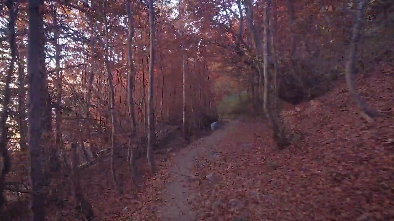 订购秋天五彩缤纷的徒步旅行视频素材