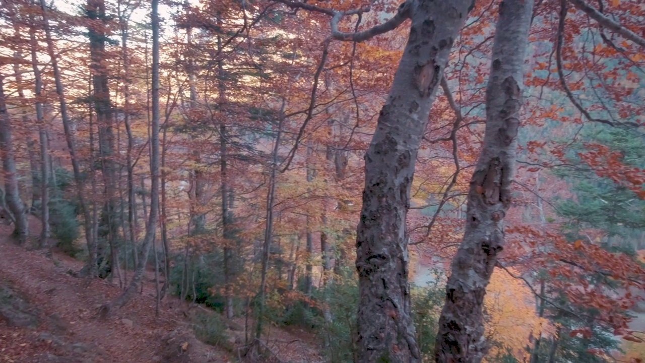 订购秋天五彩缤纷的徒步旅行视频素材