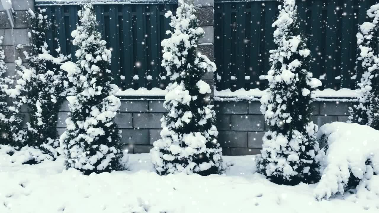 圣诞的节日背景，雪花纷飞，满园白雪，冬天和圣诞的时光视频素材