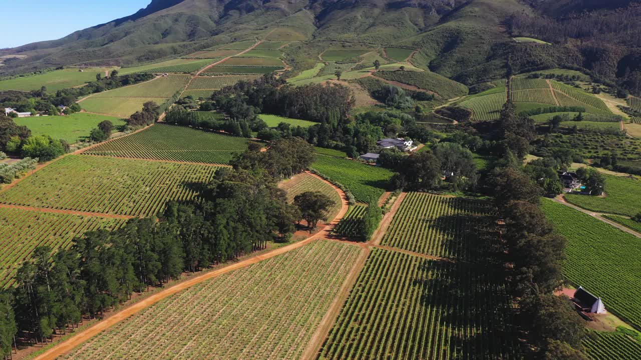 无人机拍摄的绿色葡萄园附近Stellenbosch，开普敦视频素材