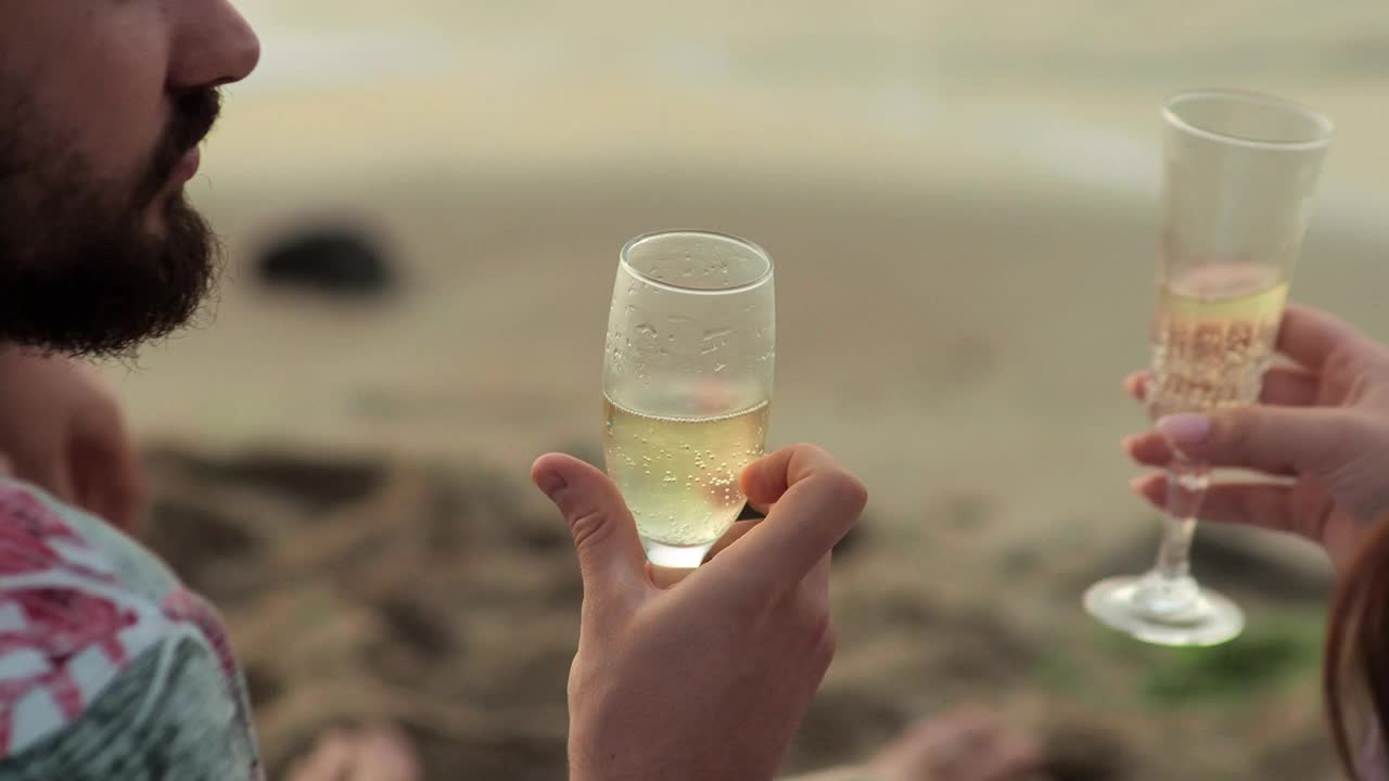 野餐爱好者在海滩上喝香槟视频素材