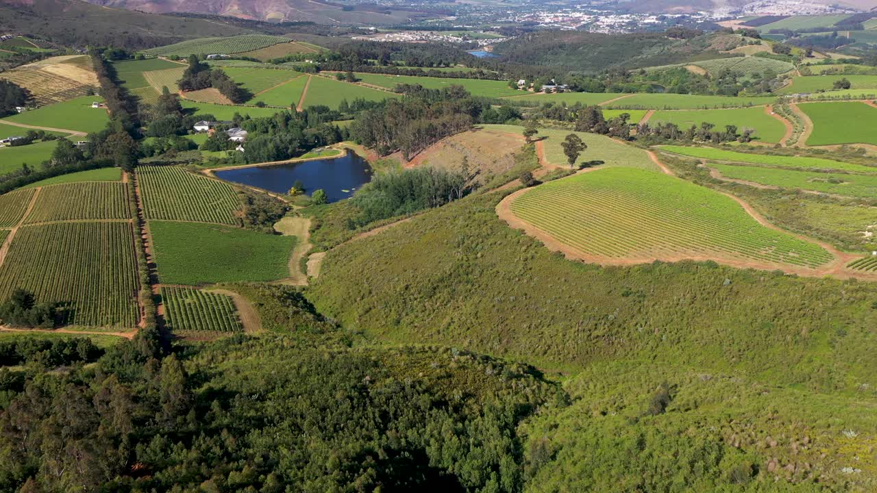 南非Stellenbosch葡萄园的航拍视频视频素材