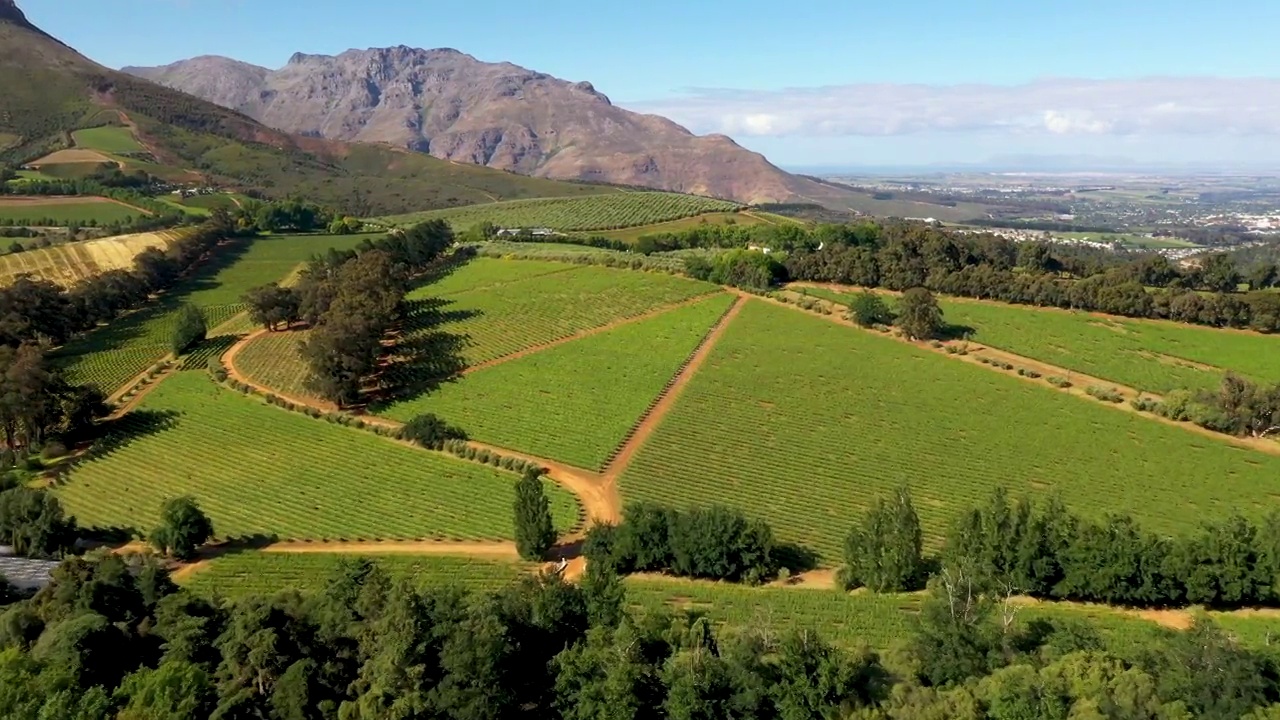 南非Stellenbosch葡萄园的航拍视频视频素材