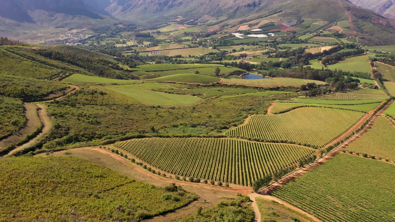 开普敦附近Stellenbosch山坡上的葡萄园视频素材