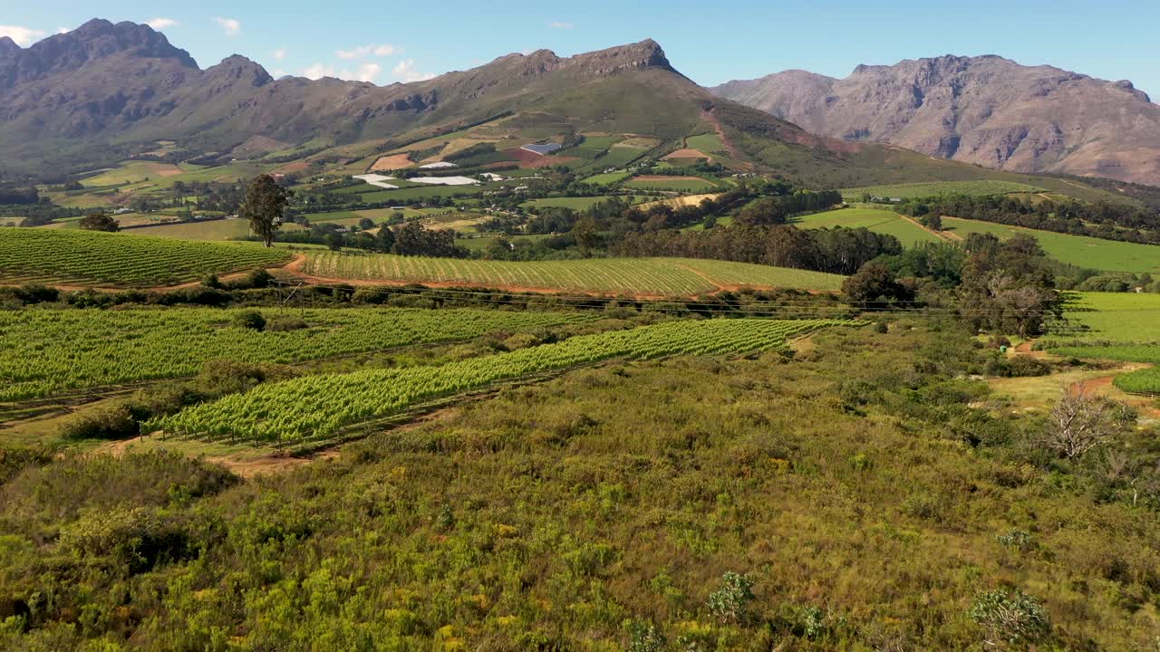 无人机拍摄了Stellenbosch附近一个农场的葡萄园视频素材