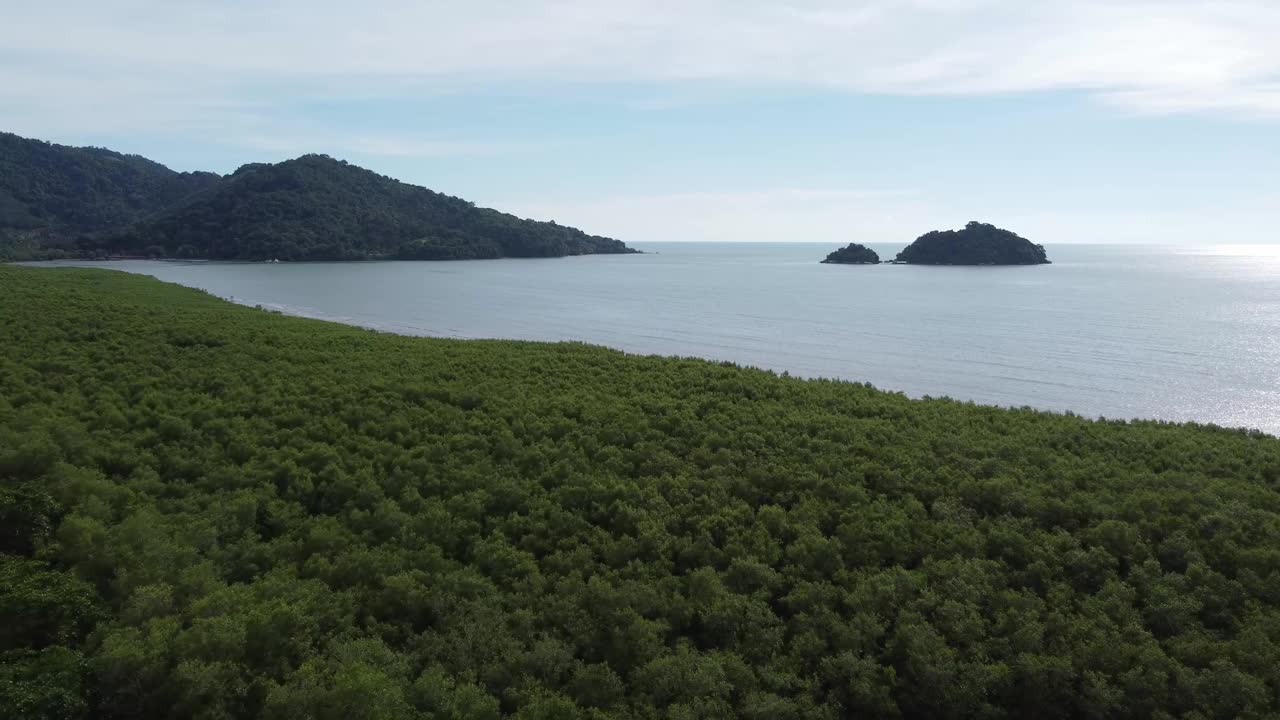 飞越红树林，飞向巴立岛视频素材