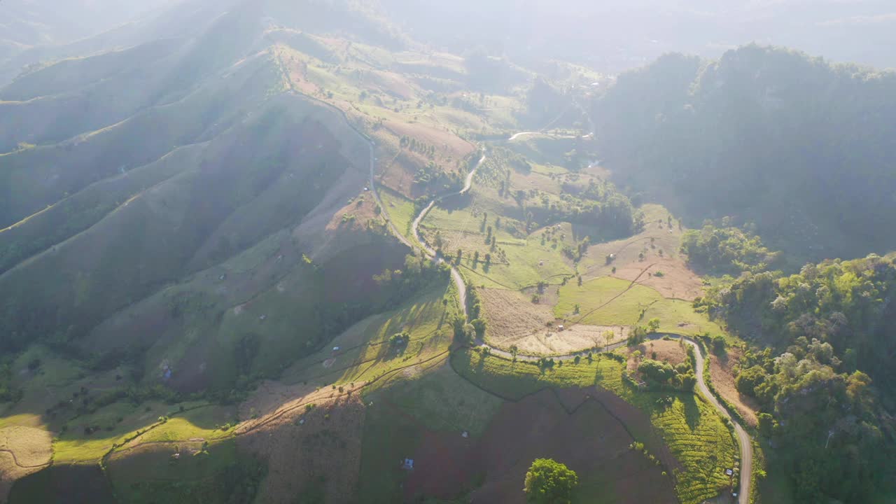 森林树木和绿色山丘的鸟瞰图。自然景观背景，泰国。视频素材