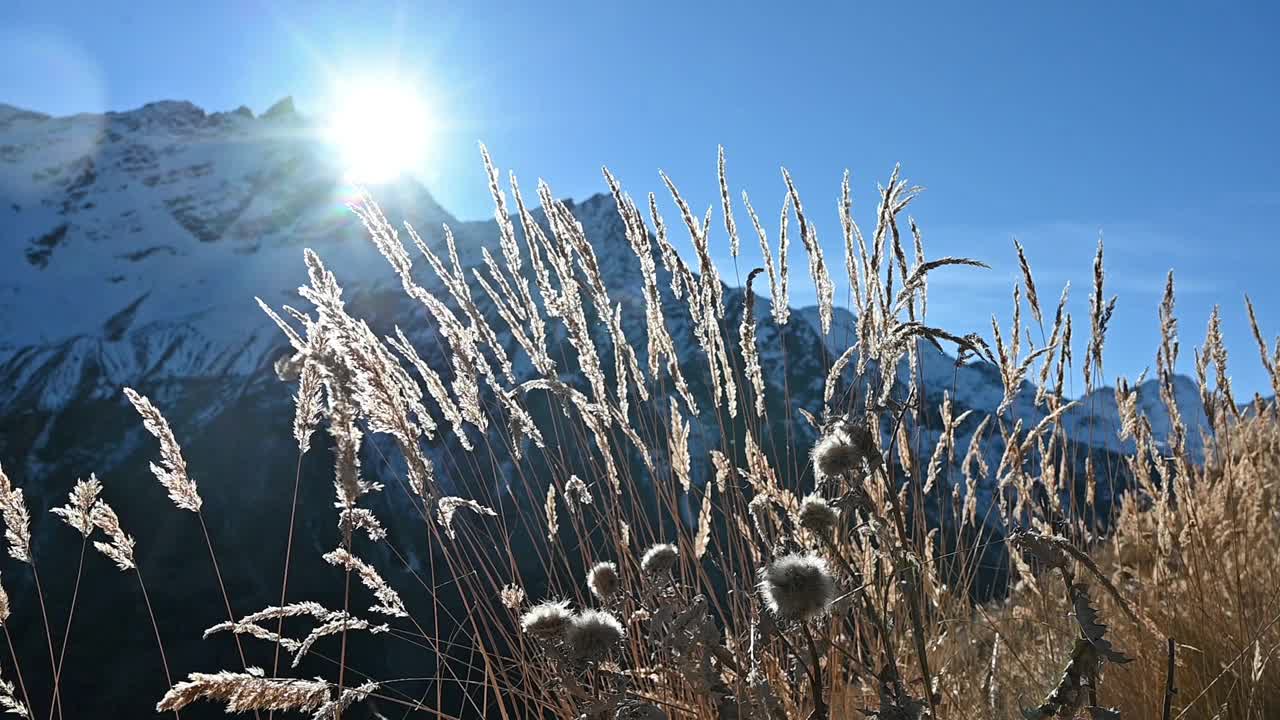 俄罗斯美丽的高加索山脉视频下载