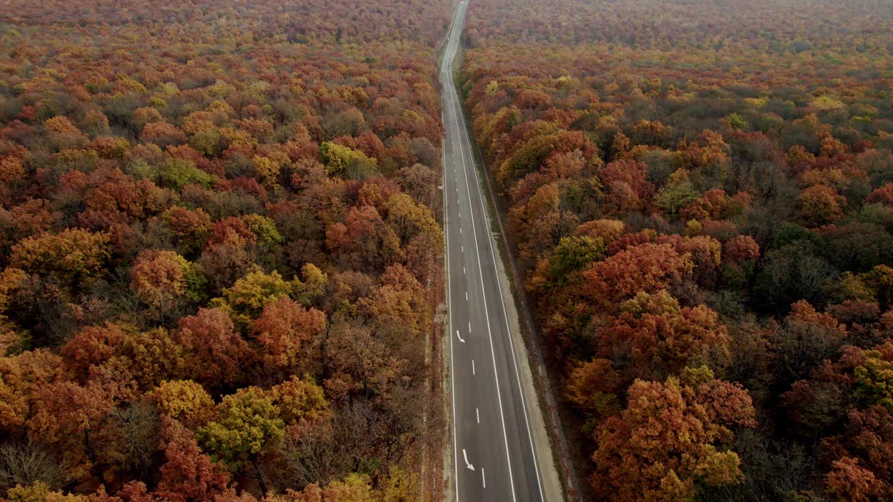 秋天美丽的森林风景笔直的柏油路，汽车在路上行驶视频素材