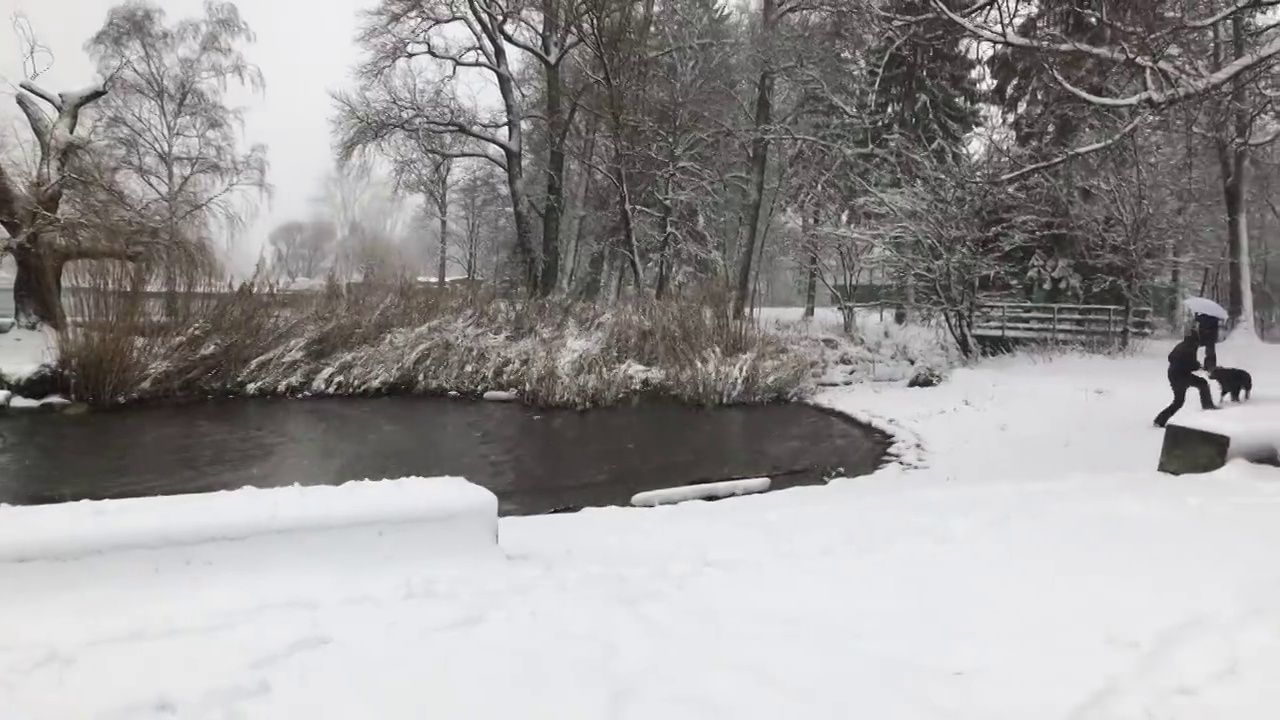 下雪天气的视频在湖边的贝尔视频素材