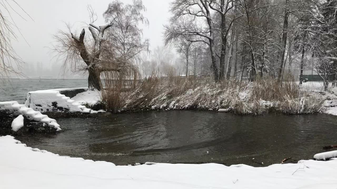 下雪天气的视频在湖边的贝尔视频素材