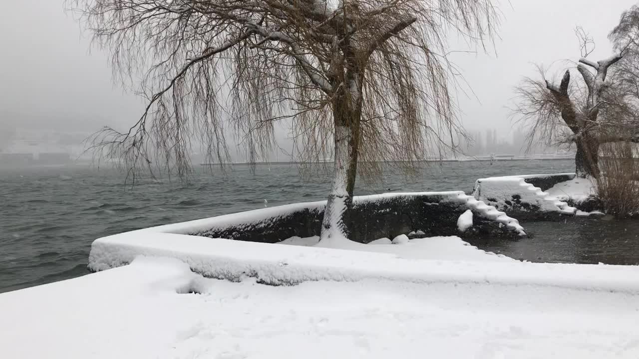 下雪天气的视频在湖边的贝尔视频素材