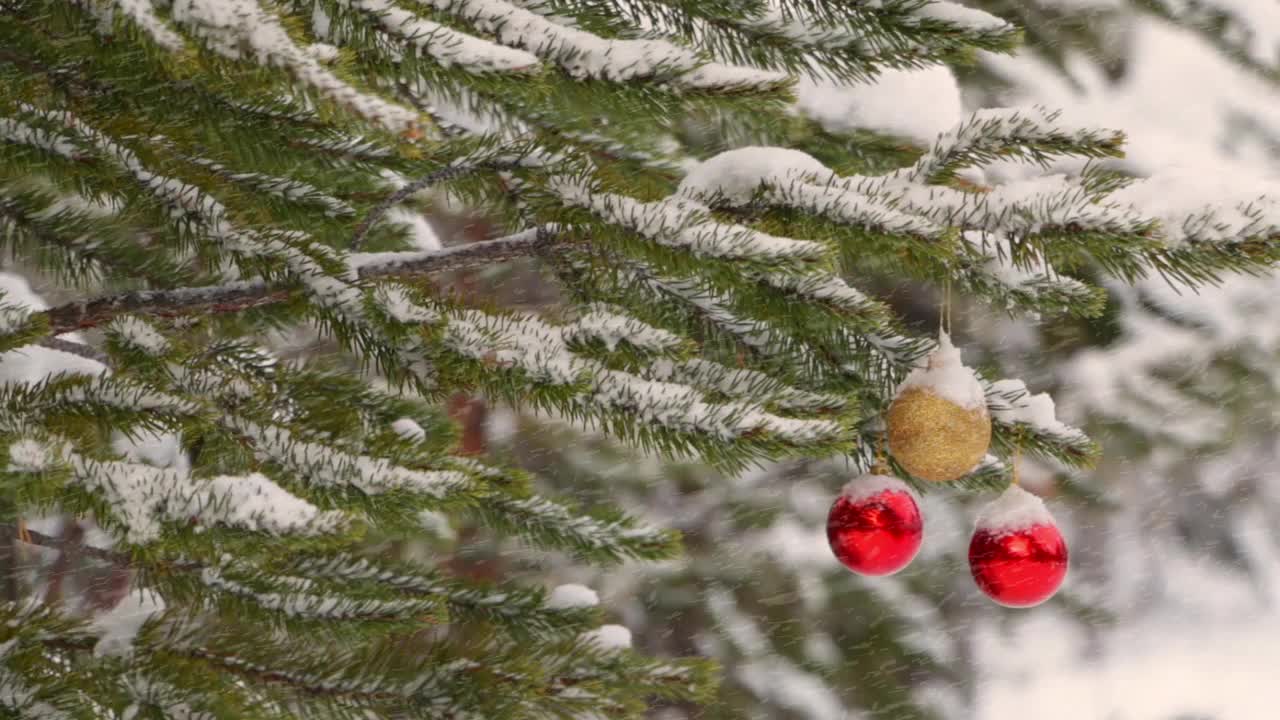 云杉林中的雪花和树枝上的圣诞球视频素材