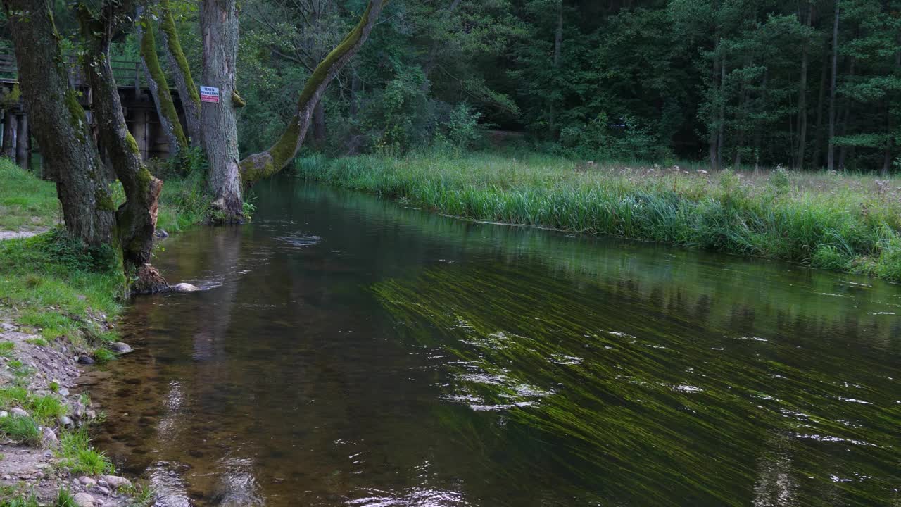 Czarna hanza是波兰东北部苏沃基地区最大的河流视频素材