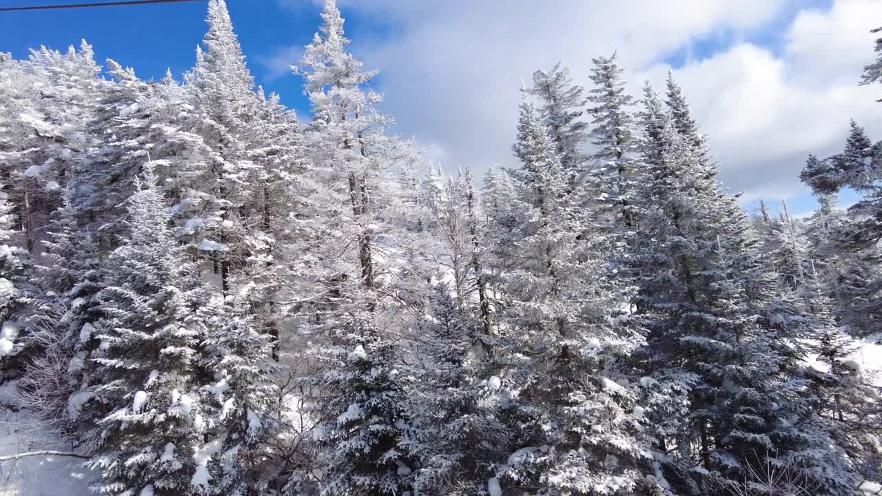 滑雪缆车冬季景观与雪和树木。美丽的蓝天天气是滑雪或滑雪场经典的滑雪缆车的完美日子视频素材