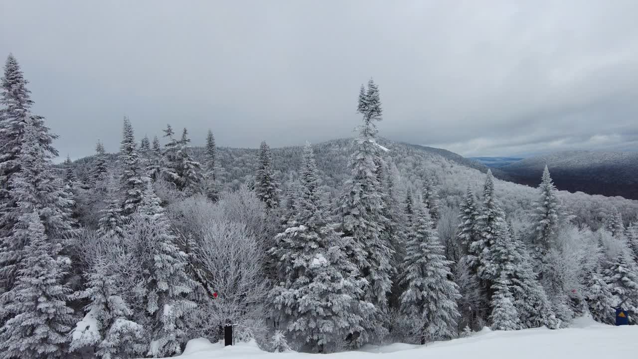 冬季景观自然山林与冰雪覆盖的树木在美丽的冬季仙境。视频来自加拿大魁北克蒙特特朗布兰特。视频素材