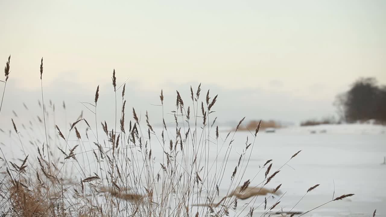 冬季湖面上结满了冰雪视频素材