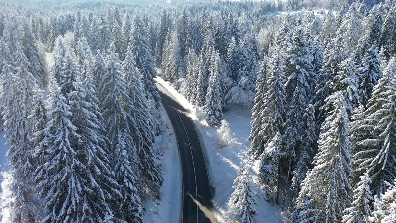 空中-森林道路，周围是积雪覆盖的松树视频素材