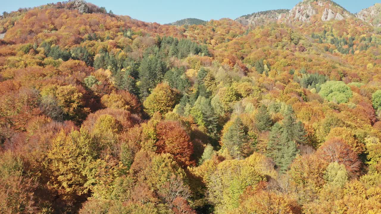 航拍镜头-多彩的秋天山景场景在Frakto原始森林，Rhodope山，希腊视频素材