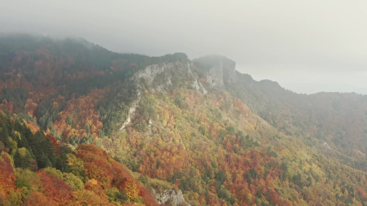 雾蒙蒙的多彩的秋天山景场景在Frakto原始森林，Rhodope山，希腊视频下载