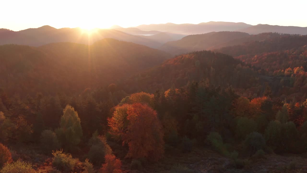 在Frakto日出。五彩缤纷的秋天山景场景在Frakto原始森林，Rhodope山，希腊视频下载