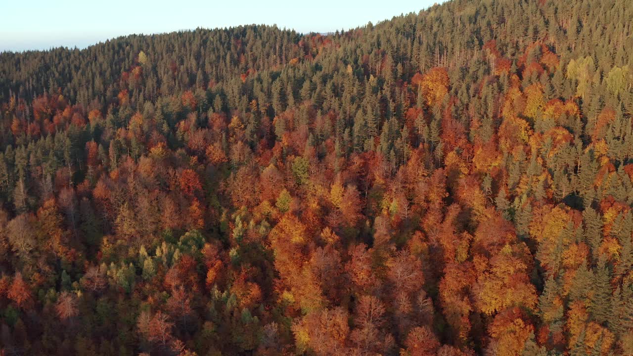 在Frakto日出。五彩缤纷的秋天山景场景在Frakto原始森林，Rhodope山，希腊视频素材