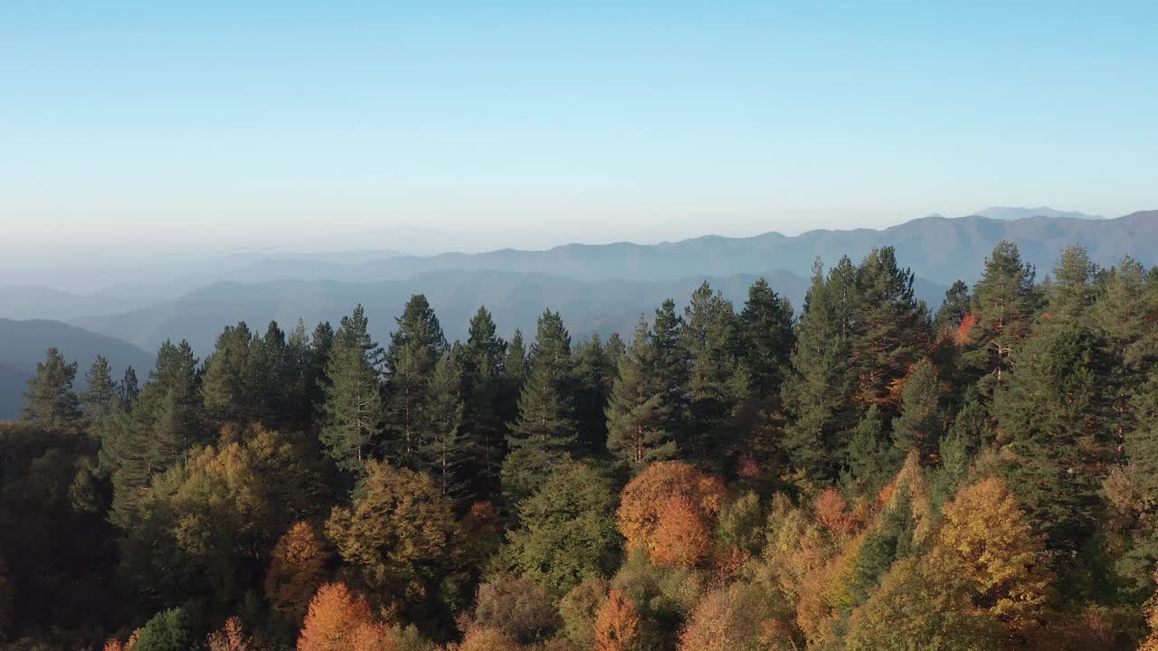 在Frakto日出。五彩缤纷的秋天山景场景在Frakto原始森林，Rhodope山，希腊视频下载