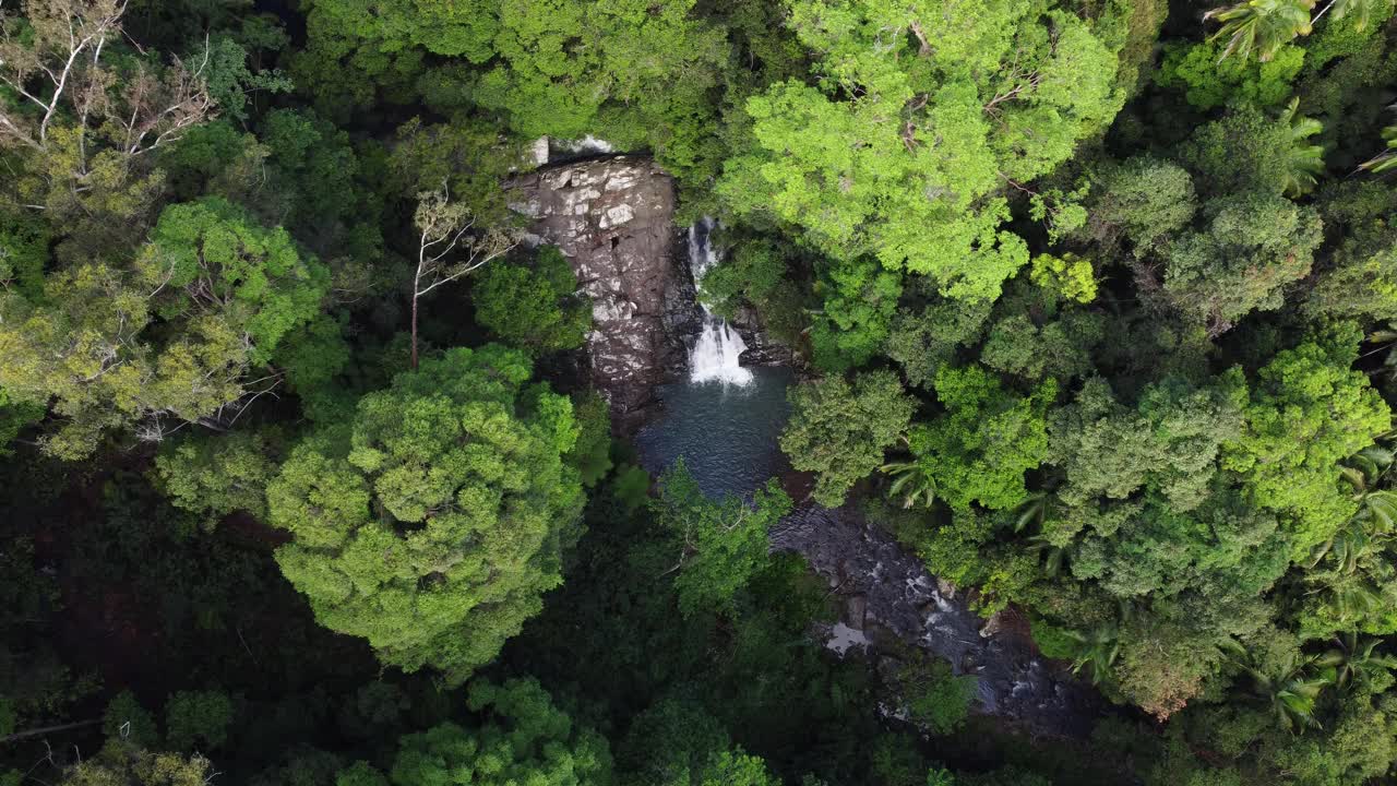 Cougal Cascades, Currumbin Valley，黄金海岸，澳大利亚视频素材