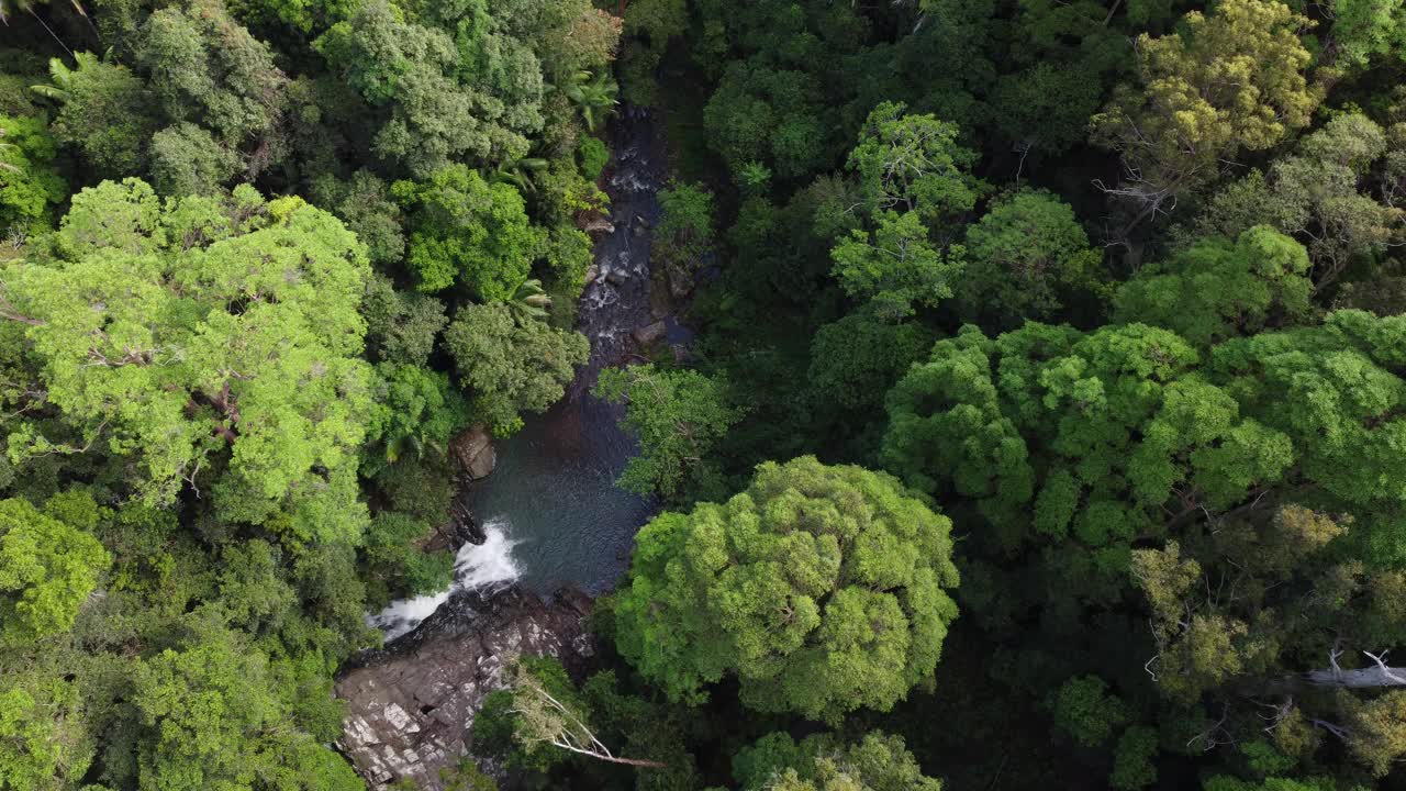 Cougal Cascades, Currumbin Valley，黄金海岸，澳大利亚视频素材