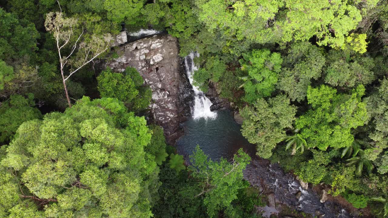 Cougal Cascades, Currumbin Valley，黄金海岸，澳大利亚视频素材