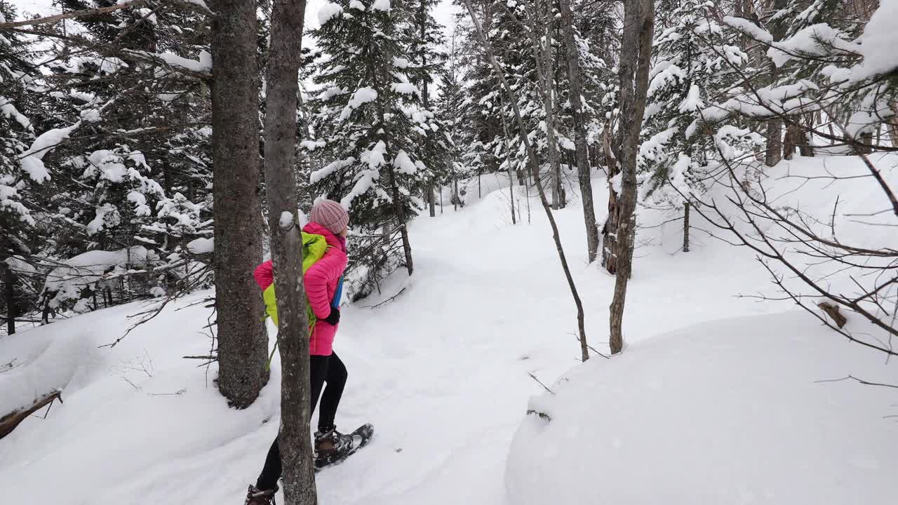 穿雪鞋的人在冬天的森林积雪覆盖的树木在下雪天。在雪地里徒步旅行的女人穿着雪鞋，过着健康活跃的户外生活方式。视频素材