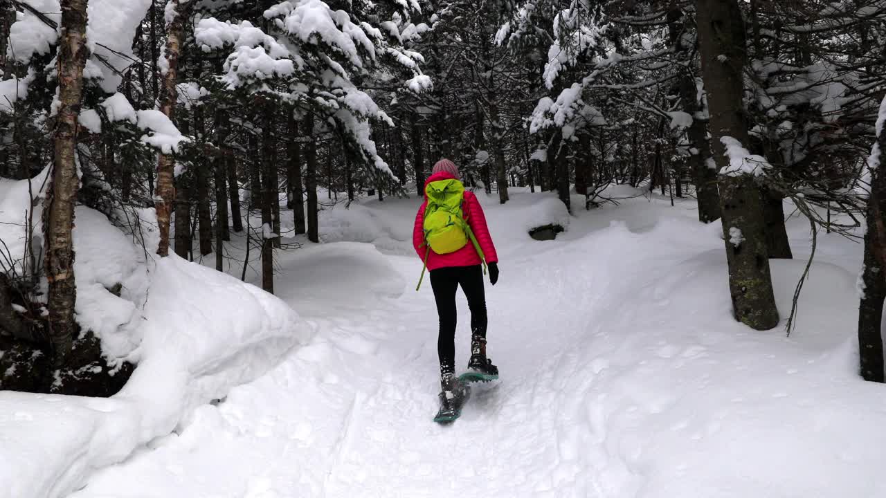 雪鞋冬季活动。穿雪鞋的女人在冬天的森林与积雪覆盖的树木。人们穿着雪鞋在雪地里徒步旅行，过着健康活跃的户外生活方式。视频素材