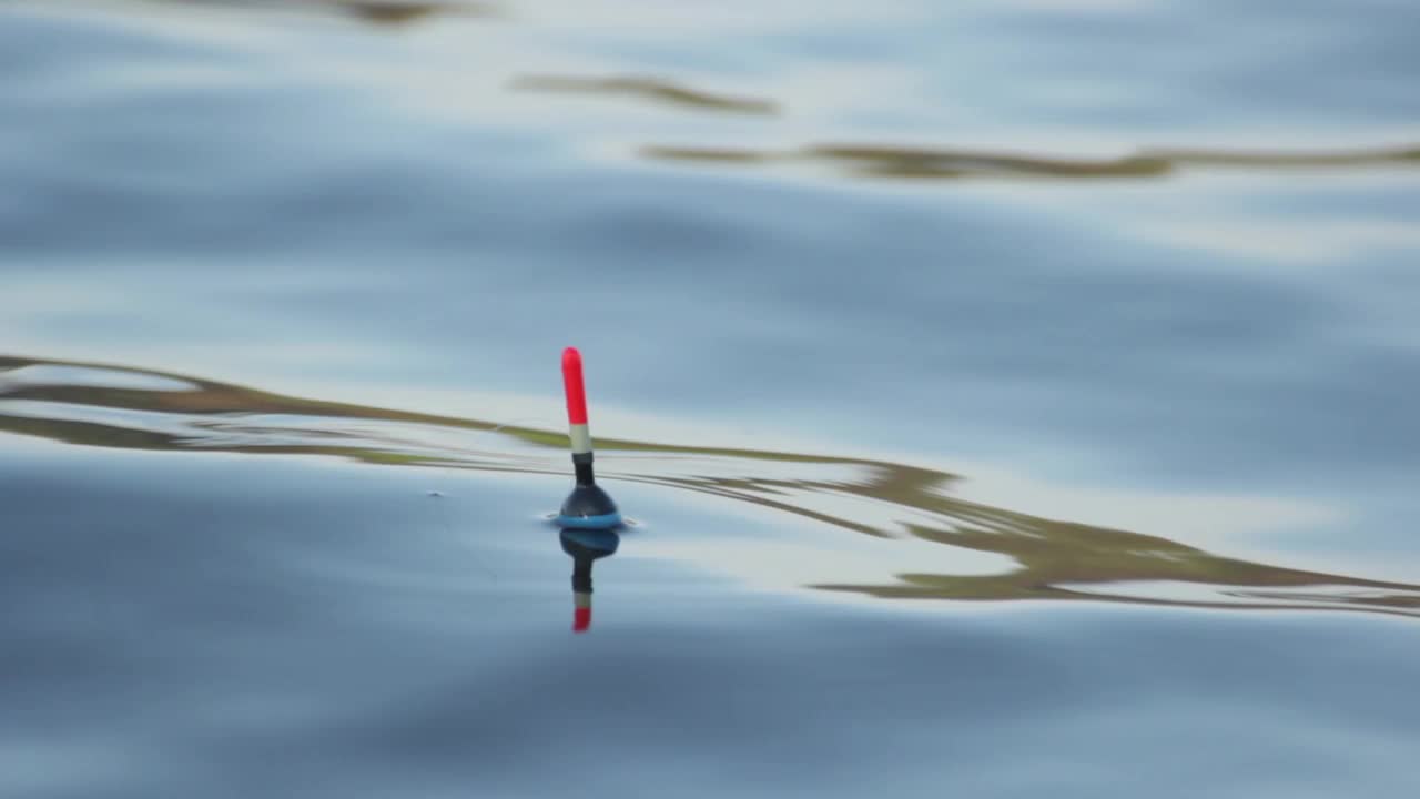 这个股票视频显示了在钓鱼期间水面上的一个浮子的特写视频素材