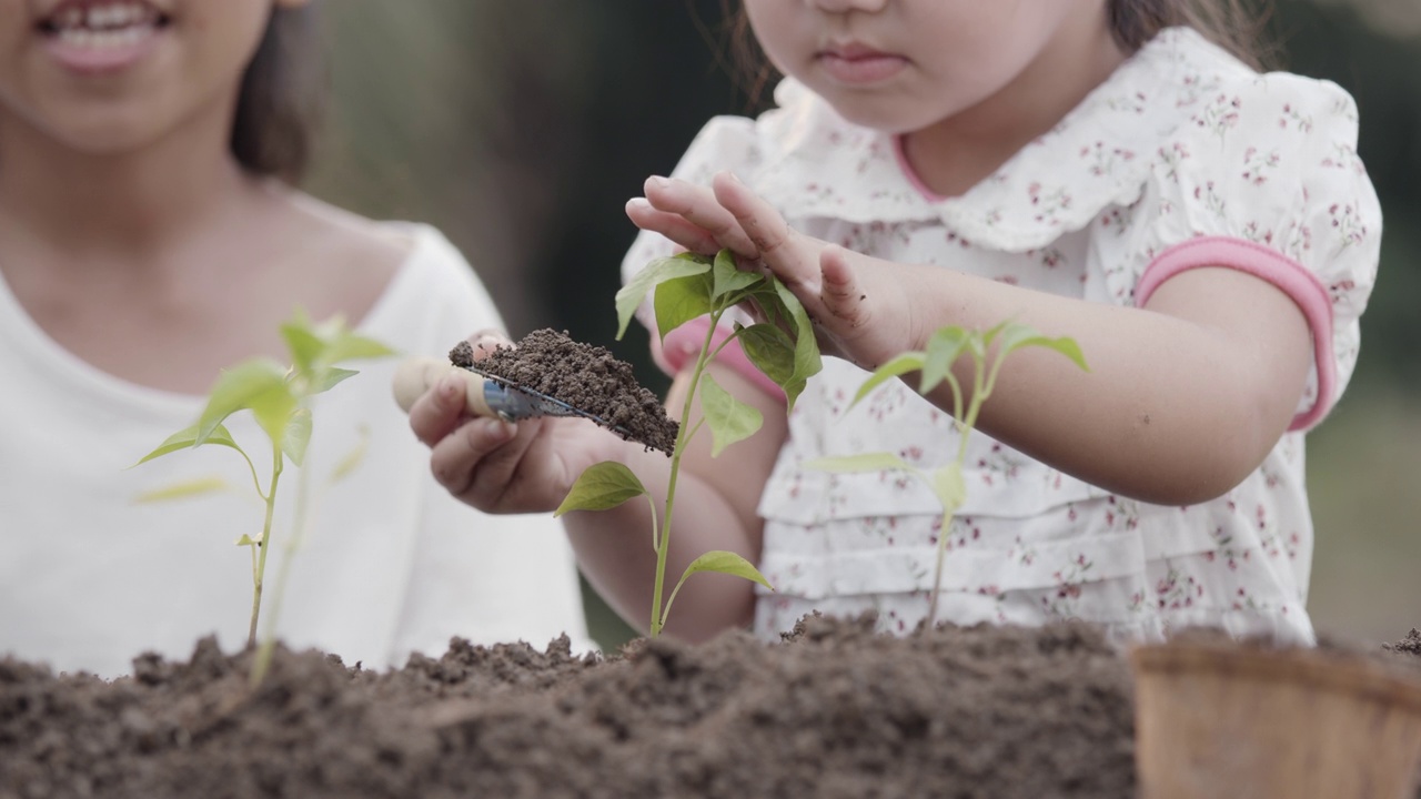 亚洲小女孩用铲子在花园里种植幼苗视频素材