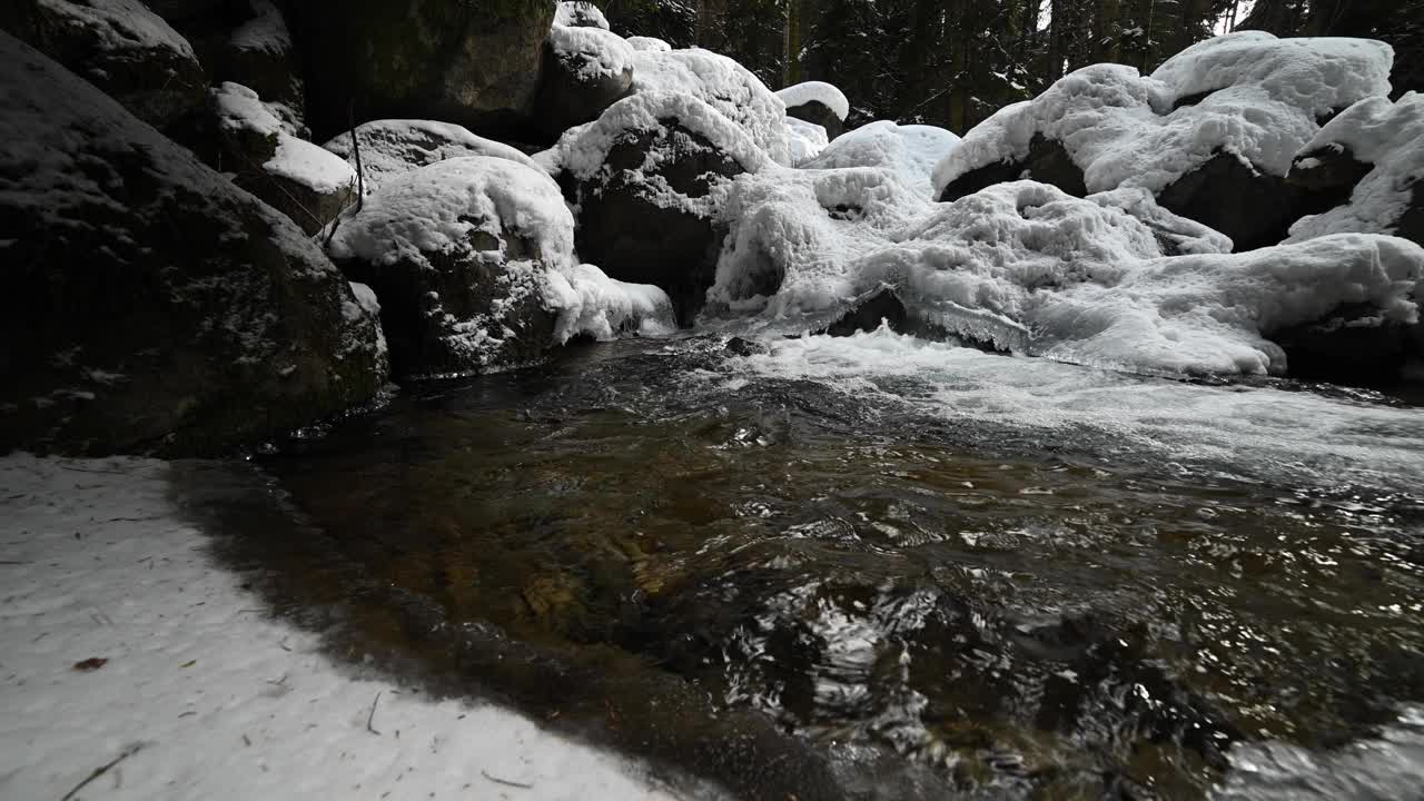 冬季河流的急流穿过冰雪覆盖的岩石。松林中结冰的河流。纯晶饮用水视频素材