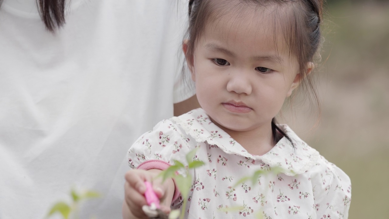 亚洲小女孩和父母抱着和种植幼苗视频素材