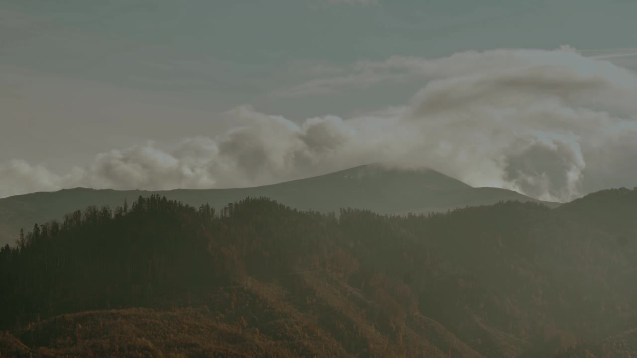 美丽的雾蒙蒙的风景，黑暗的森林在低云层中的山上。阴森的大气风景，针叶树在神秘的浓雾中视频素材