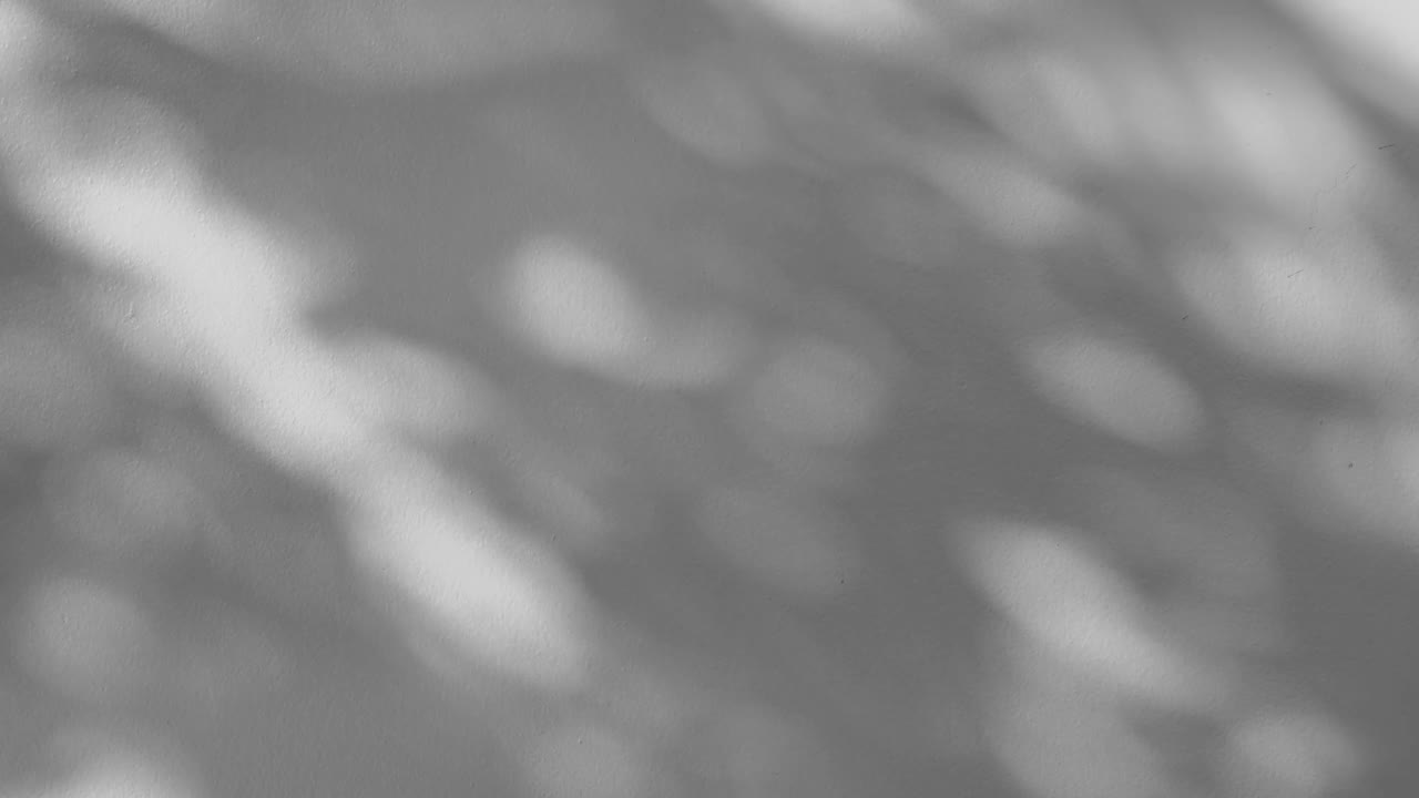 灰色的阴影叶在风吹覆盖白色的混凝土墙背景视频素材