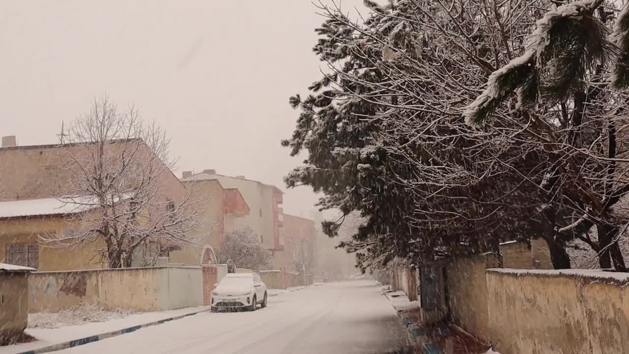 土耳其埃尔祖鲁姆下大雪。
这个城市的气温可能会达到零下50摄氏度。
在视频的开始有一只鸟(喜鹊)在飞翔。
街上空无一人。
下雪，冬季旅游。
自然视频素材