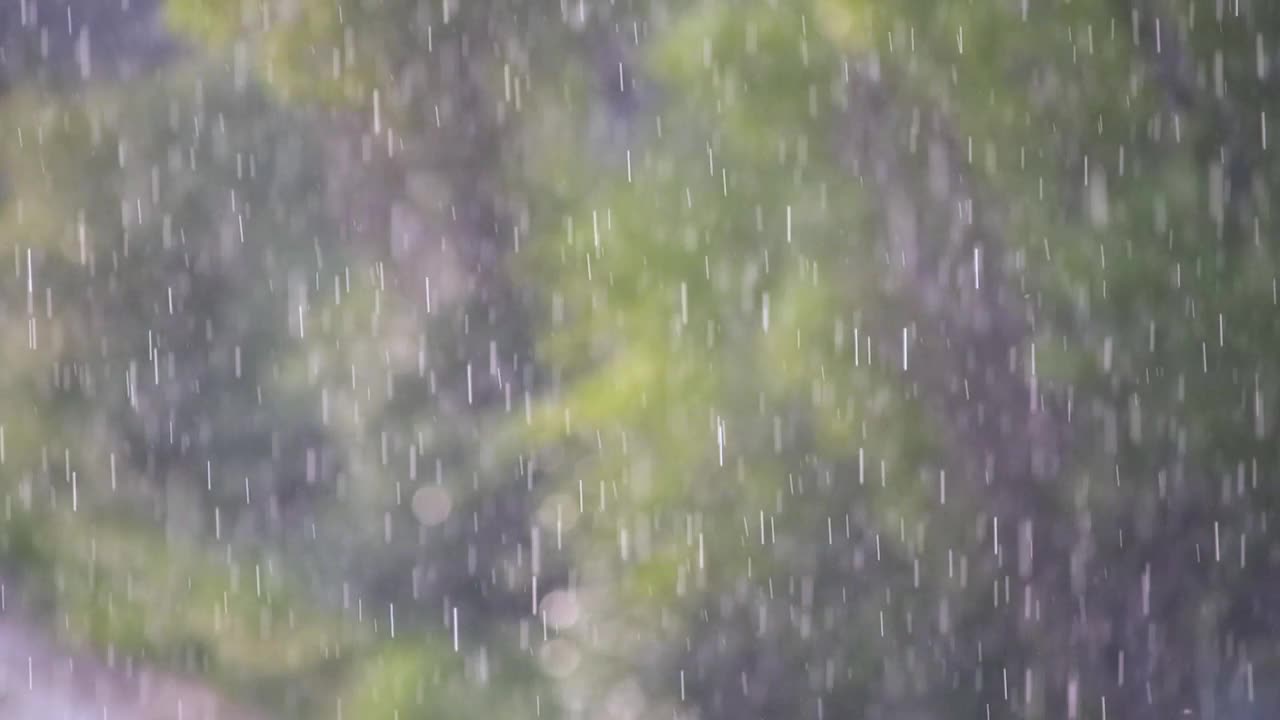 阳光下的雨，森林里的雨，雨点落下视频素材