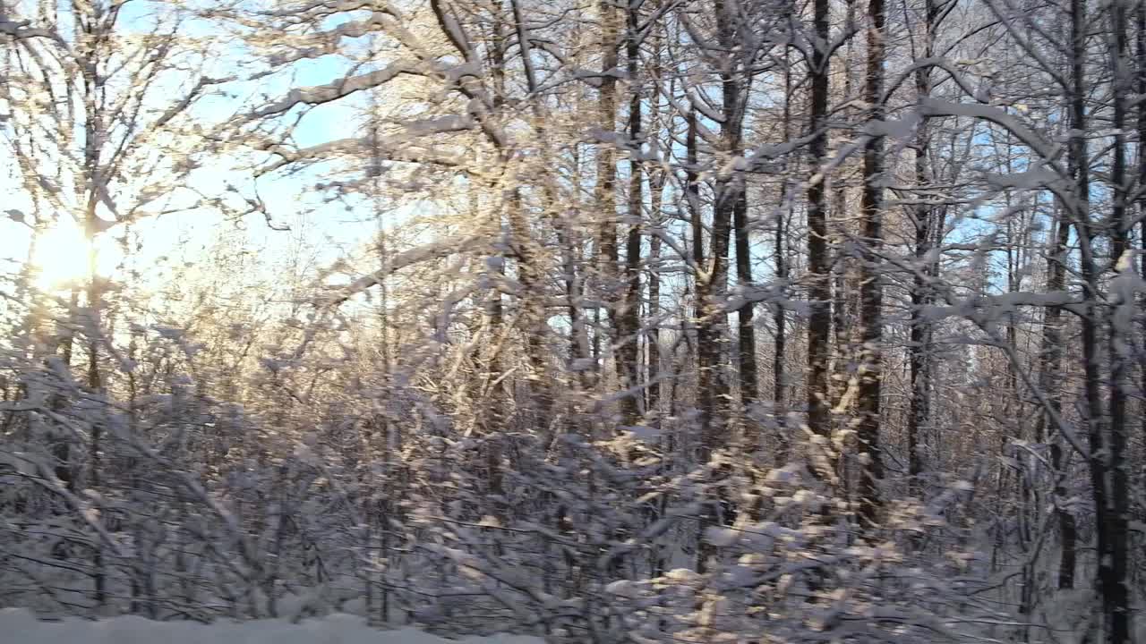 冬雪路上有松树、白桦林和田野。空旷的高速公路穿过冬季森林。汽车在路上超速行驶。侧窗视图的汽车在运动。旅游，旅行，旅行概念视频素材